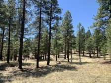 Land property for sale in Flagstaff, AZ