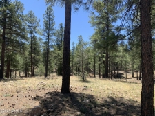 Listing Image #2 - Land for sale at 2343 E Del Rae Drive, Flagstaff AZ 86005