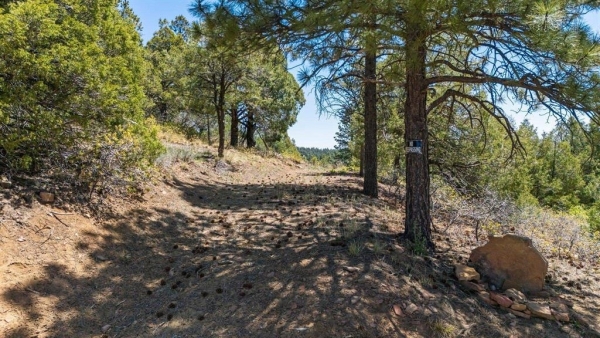 Listing Image #1 - Land for sale at 275 Logging Trail Road, Durango CO 81303