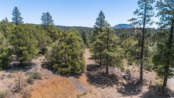 Listing Image #2 - Land for sale at 275 Logging Trail Road, Durango CO 81303