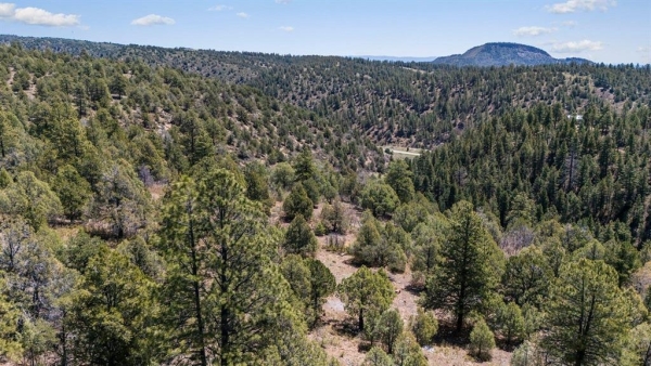Listing Image #3 - Land for sale at 275 Logging Trail Road, Durango CO 81303