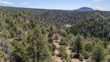 Listing Image #3 - Land for sale at 275 Logging Trail Road, Durango CO 81303