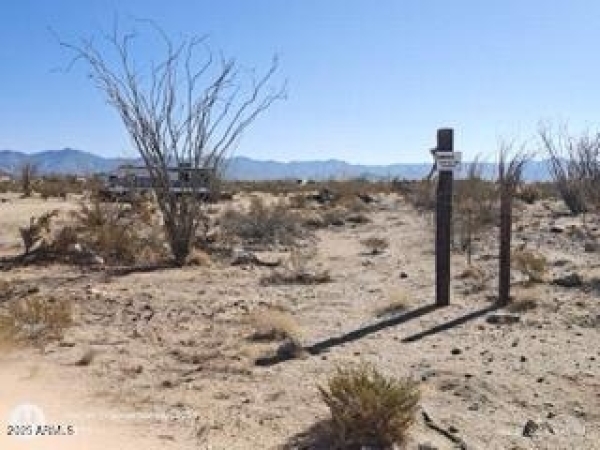 Listing Image #2 - Land for sale at 13950 S CAMERON Road 10, Yucca AZ 86438