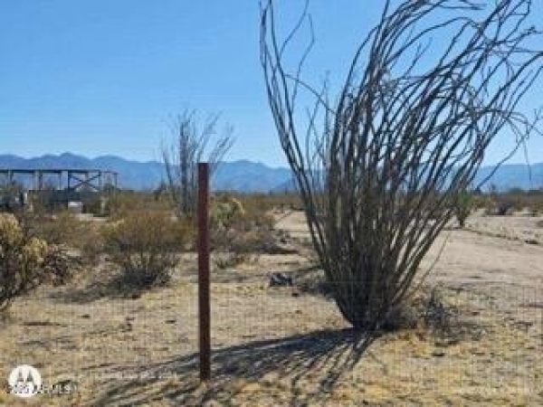 Listing Image #3 - Land for sale at 13950 S CAMERON Road 10, Yucca AZ 86438