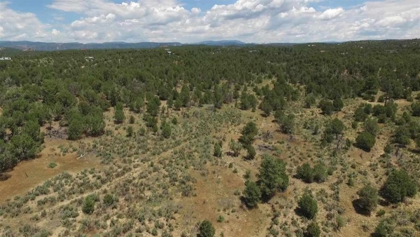 Listing Image #3 - Land for sale at 3805 County Road 510, Durango CO 81303