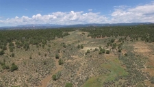 Listing Image #2 - Land for sale at 3805 County Road 510, Durango CO 81303