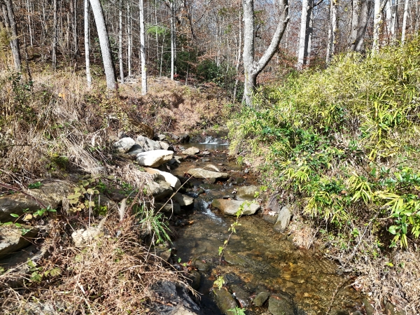 Listing Image #3 - Land for sale at 902 Deitz Cable Road, Warne NC 28909