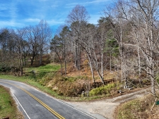 Listing Image #2 - Land for sale at 902 Deitz Cable Road, Warne NC 28909