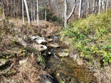 Listing Image #3 - Land for sale at 902 Deitz Cable Road, Warne NC 28909