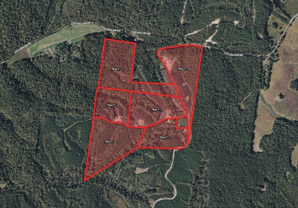 Listing Image #1 - Land for sale at Cox Hollow Road, Dover TN 37058