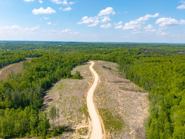 Listing Image #2 - Land for sale at Cox Hollow Road, Dover TN 37058