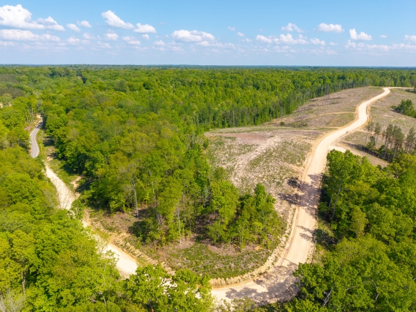 Listing Image #3 - Land for sale at Cox Hollow Road, Dover TN 37058