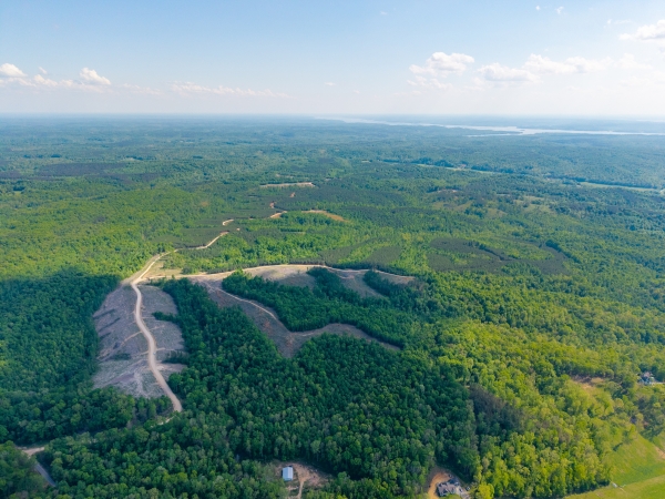 Listing Image #5 - Land for sale at Cox Hollow Road, Dover TN 37058