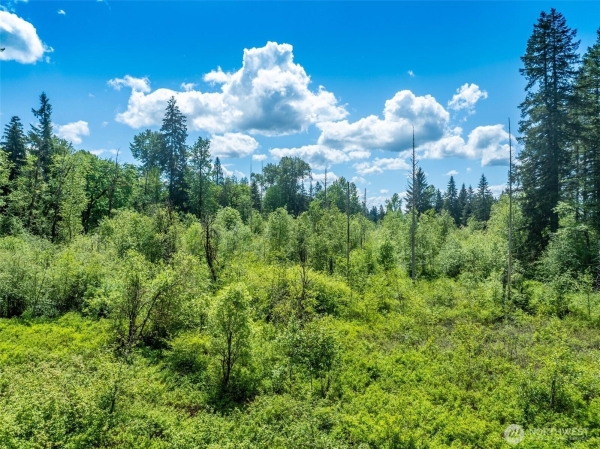 Listing Image #3 - Land for sale at 33805 LAKE JOY ROAD, CARNATION WA 98014