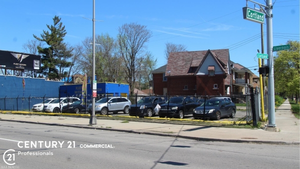 Listing Image #3 - Others for sale at 12218-12220 Livernois, Detroit MI 48204