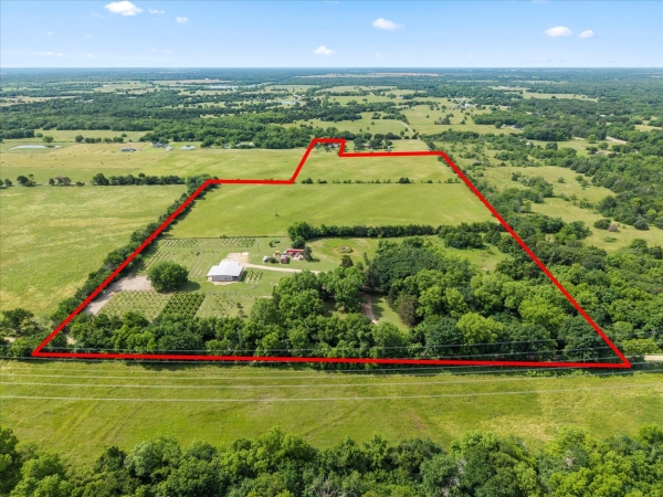 Listing Image #1 - Others for sale at 445 County Road 4742, Sulphur Springs TX 75482