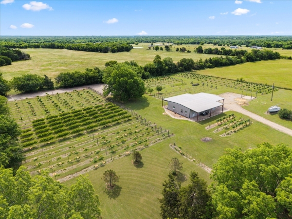 Listing Image #2 - Others for sale at 445 County Road 4742, Sulphur Springs TX 75482