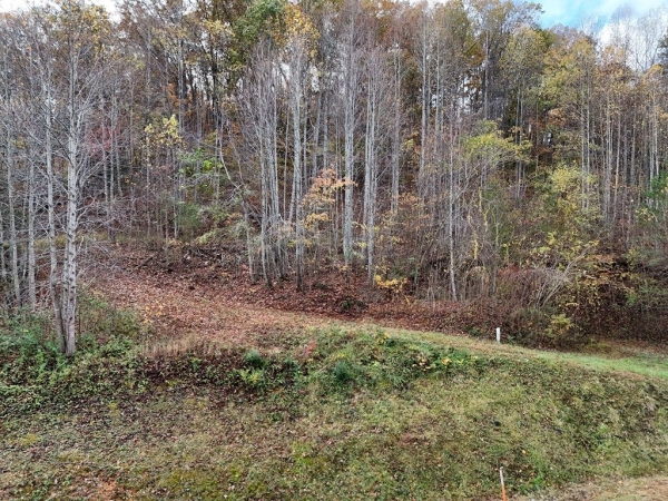 Listing Image #3 - Others for sale at 1.6 AC Highway 76, Hiawassee GA 30546