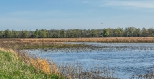 Land property for sale in Cord, AR