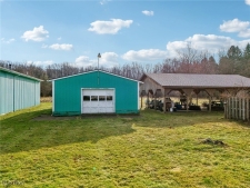 Others for sale in Madison, OH