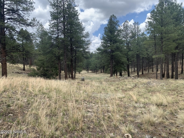 Listing Image #2 - Land for sale at 2980 S Solitaires Canyon Drive 349, Flagstaff AZ 86005