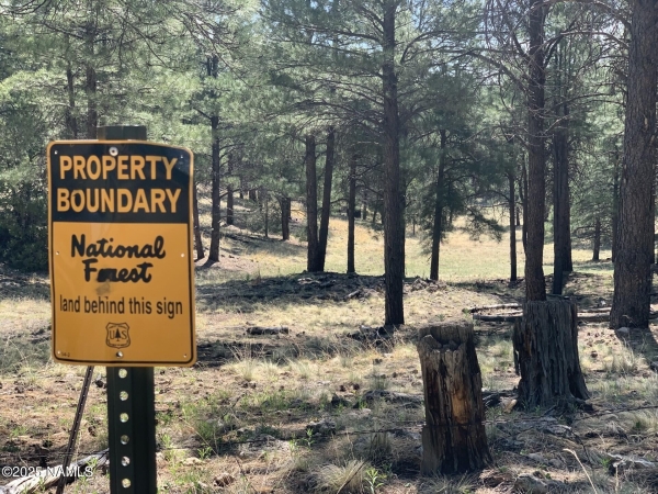 Listing Image #3 - Land for sale at 2980 S Solitaires Canyon Drive 349, Flagstaff AZ 86005