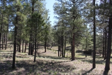 Land property for sale in Flagstaff, AZ