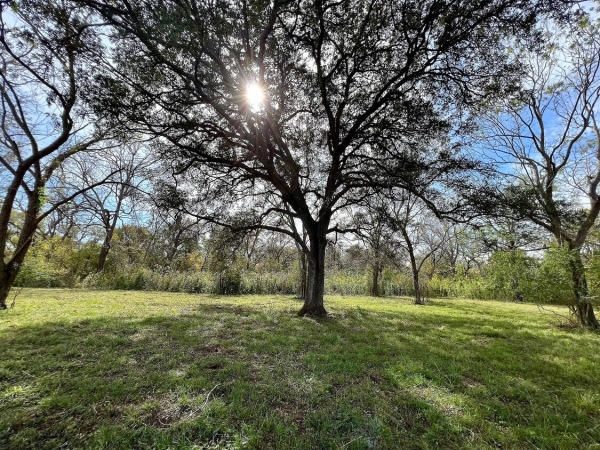 Listing Image #2 - Land for sale at 0 Hwy 35, Van Vleck TX 77482