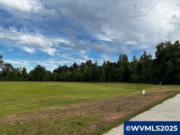 Listing Image #2 - Land for sale at 498 Oregon Falls Dr SW, Dallas OR 97338