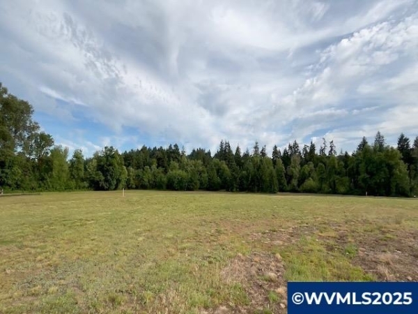 Listing Image #2 - Land for sale at 481 Oregon Falls Dr SW, Dallas OR 97338