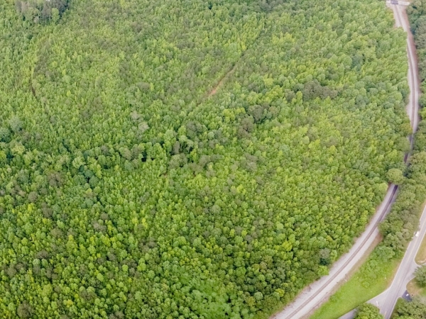 Listing Image #3 - Industrial for sale at 0 Clayton Drive - Lot 6, Bremen GA 30110