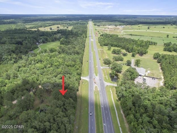 Listing Image #2 - Land for sale at Sr-79, Vernon FL 32462