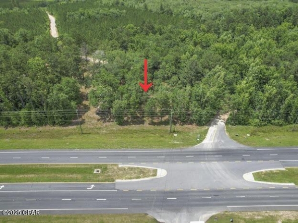 Listing Image #3 - Land for sale at Sr-79, Vernon FL 32462