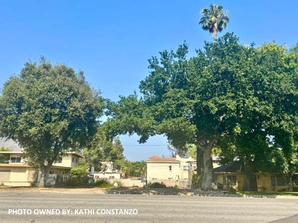 Listing Image #2 - Land for sale at 1210 N Altadena Drive, Pasadena CA 91107