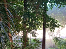 Others property for sale in Grass Valley, CA