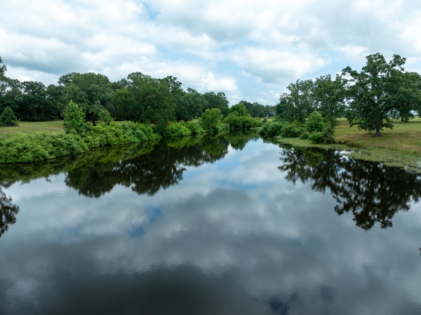 Listing Image #1 - Others for sale at TBD CR 2142, Bagwell TX 75412