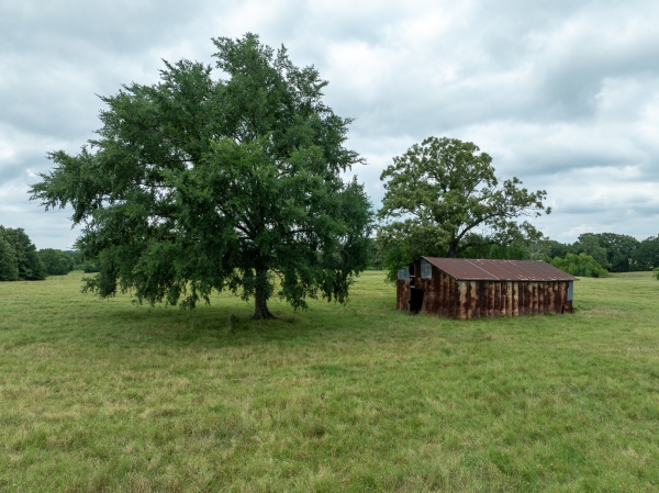 Listing Image #2 - Others for sale at TBD CR 2142, Bagwell TX 75412