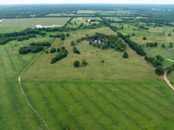 Listing Image #3 - Others for sale at TBD CR 2142, Bagwell TX 75412