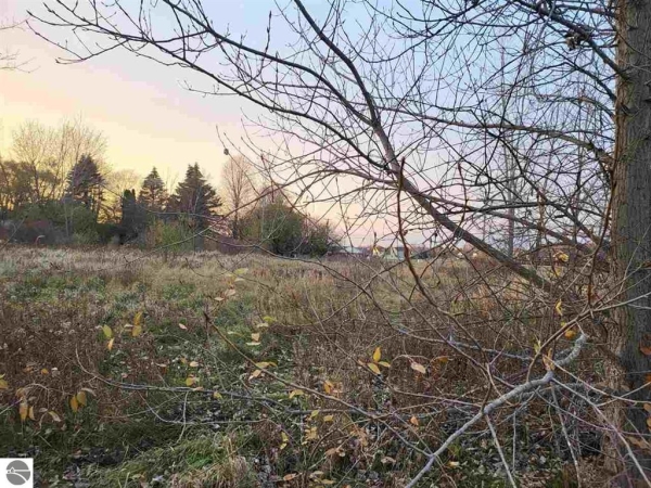 Listing Image #1 - Land for sale at TBD Broomfield Street, Mt Pleasant MI 48858