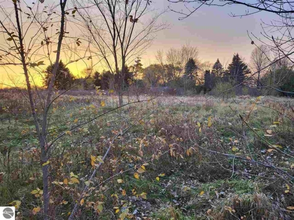 Listing Image #2 - Land for sale at TBD Broomfield Street, Mt Pleasant MI 48858