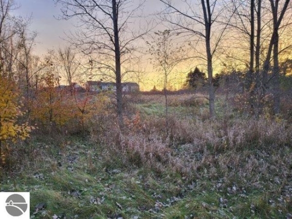 Listing Image #3 - Land for sale at TBD Broomfield Street, Mt Pleasant MI 48858