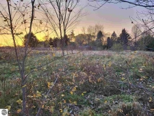 Listing Image #2 - Land for sale at TBD Broomfield Street, Mt Pleasant MI 48858