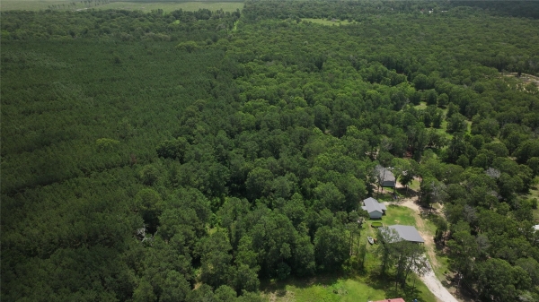 Listing Image #2 - Land for sale at 828 County Road 6881 N, Dayton TX 77535