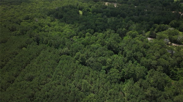 Listing Image #3 - Land for sale at 828 County Road 6881 N, Dayton TX 77535