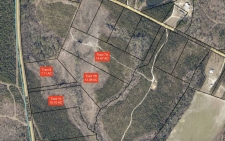 Land for sale in Swainsboro, GA