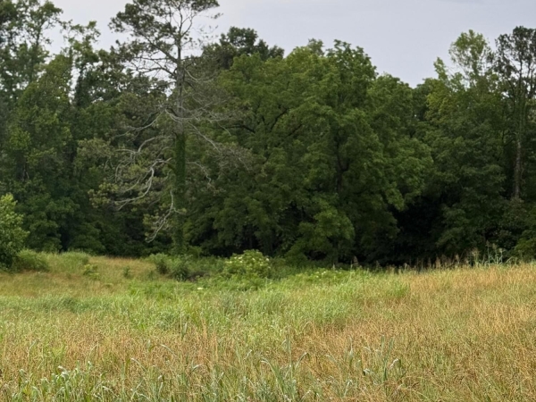 Listing Image #3 - Land for sale at Lot 2, 179 Teague Road, Cleveland TN 37311