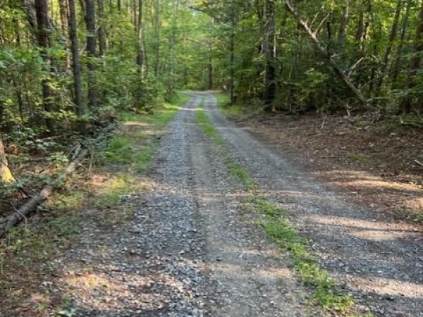 Listing Image #2 - Land for sale at Chilesburg Road, Beaverdam VA 23015