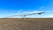 Listing Image #2 - Others for sale at 00 CR 1370, Clarksville TX 75426