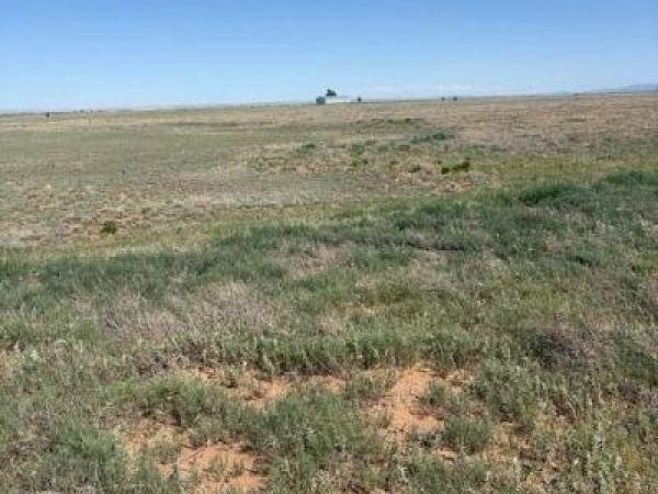 Listing Image #1 - Others for sale at Bluegrass Rd,-Tract 4S, Estancia NM 87016