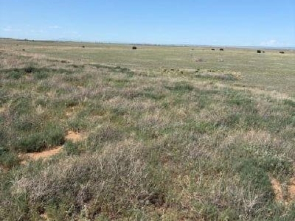 Listing Image #3 - Others for sale at Bluegrass Rd,-Tract 4S, Estancia NM 87016